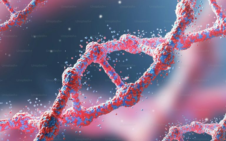 DNA Strang Abbild eines rot blauen DNA Strang